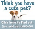 Great American Pet Photo Contest Got a Cute Pet? You could Win $1,000!